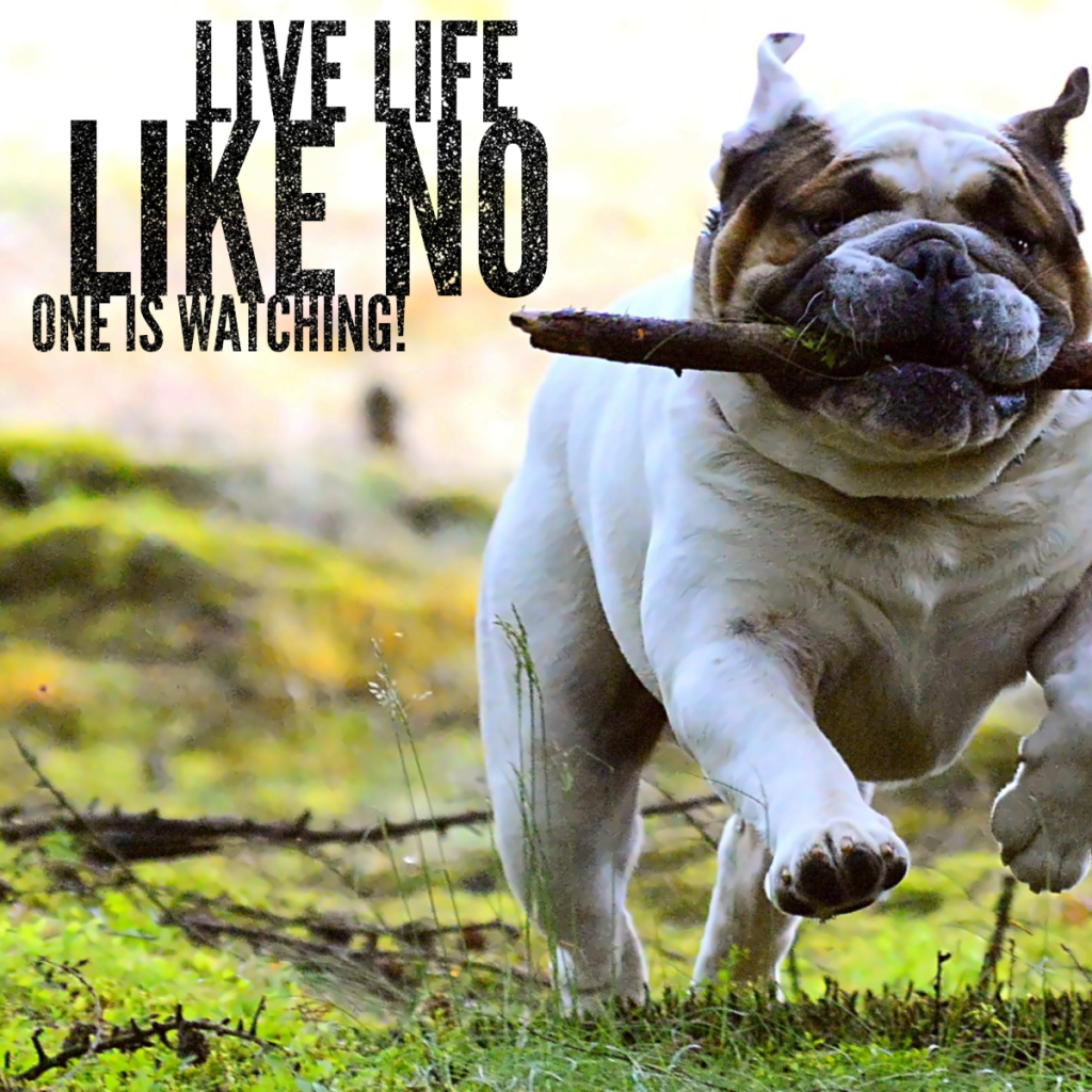 Day 138 of 365 Daily Inspiration – Live Life Like No One Is Watching