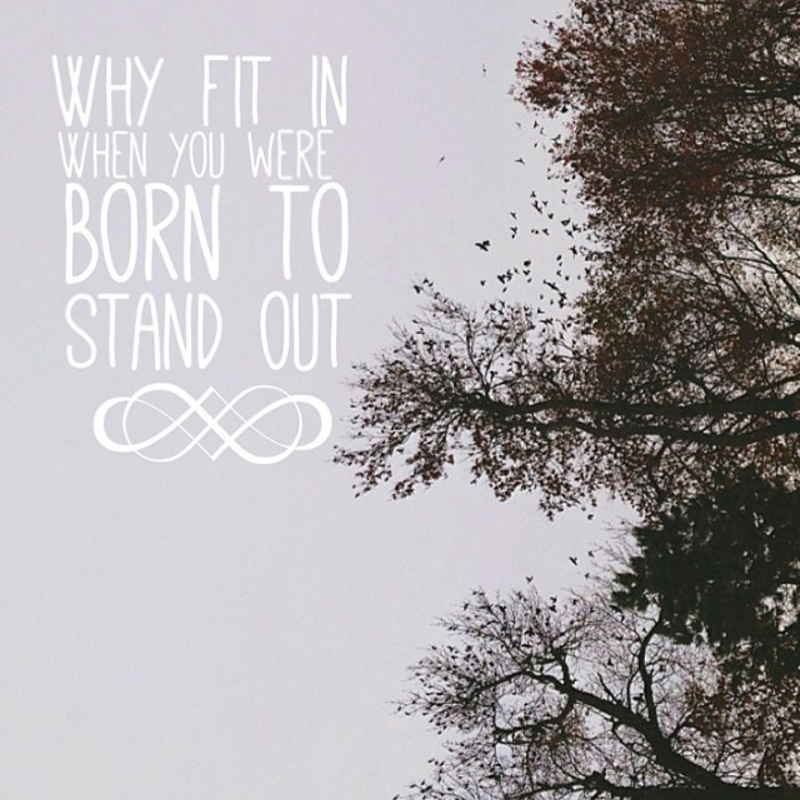 Day 145 of 365 Daily Inspiration – Why Fit In When You Were Born To Stand Out