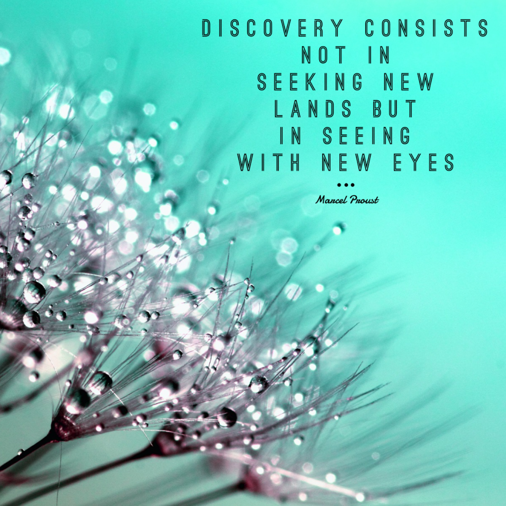 Day 149 of 365 Daily Inspiration – Discovery Consists Not In Seeking New Lands But In Seeing With New Eyes