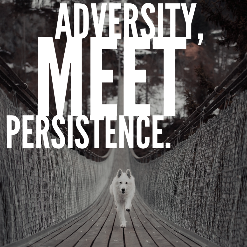 Day 188 of 365 Daily Inspiration –