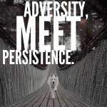 Day 188 of 365 Daily Inspiration –